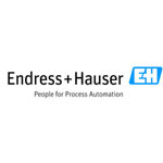 Endress + Hauser